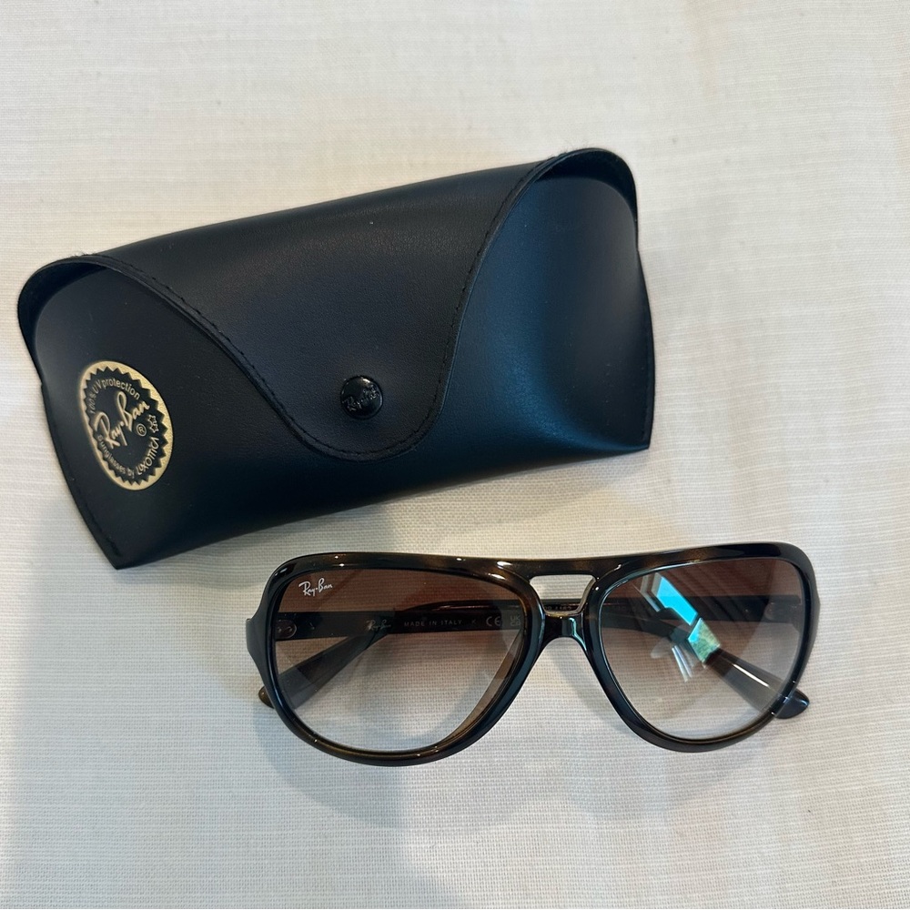 Ray-Ban Dark Brown Sunglasses with Black Case